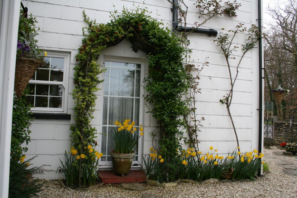 Clayhill House Bed & Breakfast Lyndhurst Extérieur photo